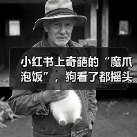 小红书上奇葩的“魔爪泡饭”,狗看了都摇头(图2) 小红书上奇葩的“魔爪泡饭”,狗看了都摇头(图2)