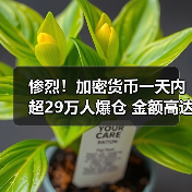 惨烈!加密货币一天内超29万人爆仓 金额高达63亿元(图4) 惨烈!加密货币一天内超29万人爆仓 金额高达63亿元(图4)