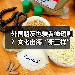 外国朋友也爱看微短剧?文化出海“新三样”闯出“中国范儿”(图1) 外国朋友也爱看微短剧?文化出海“新三样”闯出“中国范儿”(图1)