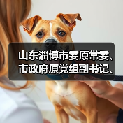 山东淄博市委原常委、市政府原党组副书记、副市长宋振波一审获刑11年（图2）