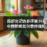 首都女记协参评第36届中国新闻奖创意传播和新闻IP作品公示（图2）