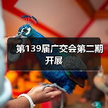 第139届广交会第二期开展（图2）