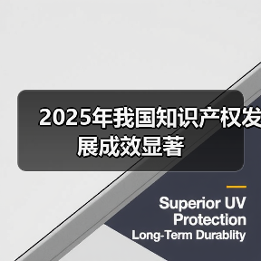 2025年我国知识产权发展成效显著（图4）