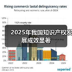 2025年我国知识产权发展成效显著（图2）