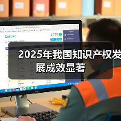 2025年我国知识产权发展成效显著（图3）