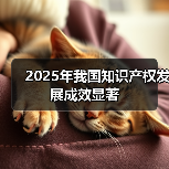 知识产权发展成果突出,创新生态持续优化 知识产权发展成果突出,创新生态持续优化