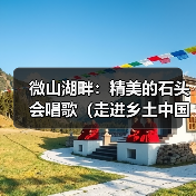 微山湖畔：精美的石头会唱歌（走进乡土中国）（图3）