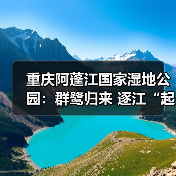 重庆阿蓬江国家湿地公园:群鹭归来 逐江“起舞”(图3) 重庆阿蓬江国家湿地公园:群鹭归来 逐江“起舞”(图3)