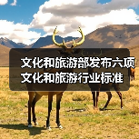 文化和旅游部发布六项文化和旅游行业标准(图3) 文化和旅游部发布六项文化和旅游行业标准(图3)