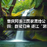 重庆阿蓬江国家湿地公园:群鹭归来 逐江“起舞”(图4) 重庆阿蓬江国家湿地公园:群鹭归来 逐江“起舞”(图4)
