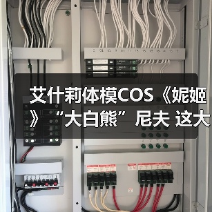 艾什莉体模COS《妮姬》“大白熊”尼夫 这大欧派绝了（图2）