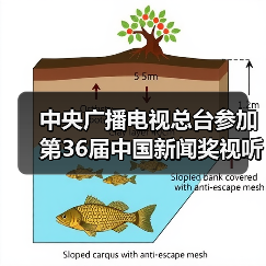 中央广播电视总台参加第36届中国新闻奖视听设计（互联网界面设计）初评作品公示（图4）