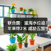 里海水位骤降生态经济危机 里海水位骤降生态经济危机