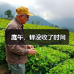庭午，蝉没收了时间（图3）