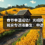 春节申遗成功彰显中华文化全球影响力 春节申遗成功彰显中华文化全球影响力