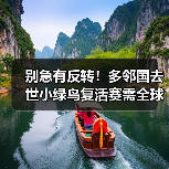 别急有反转！多邻国去世小绿鸟复活赛需全球用户参加（图2）
