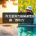 在戈壁算力新城感受丝路“西引力”（图3）