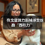 戈壁算力新城揭秘西部算力引力