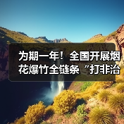 为期一年！全国开展烟花爆竹全链条“打非治违”专项行动（图4）