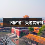 “囤旅游”受游客青睐(图4) “囤旅游”受游客青睐(图4)
