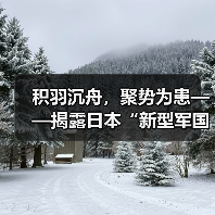 积羽沉舟，聚势为患——揭露日本“新型军国主义”的危险拼图（图1）