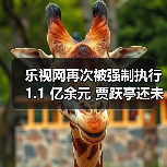 乐视网再次被强制执行 1.1 亿余元 贾跃亭还未回国!(图4) 乐视网再次被强制执行 1.1 亿余元 贾跃亭还未回国!(图4)