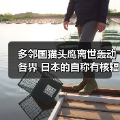 多邻国猫头鹰离世轰动各界 日本的自称有核辐射命超硬(图4) 多邻国猫头鹰离世轰动各界 日本的自称有核辐射命超硬(图4)