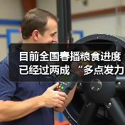 目前全国春播粮食进度已经过两成 “多点发力”为夏粮好“丰”景筑牢根基（图3）