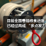 目前全国春播粮食进度已经过两成 “多点发力”为夏粮好“丰”景筑牢根基（图4）