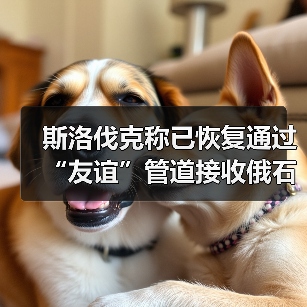 斯洛伐克称已恢复通过“友谊”管道接收俄石油（图3）