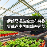 伊朗马汉航空宣布将恢复往返中国航线客运航班（图1）