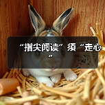 “指尖阅读”须“走心”（图4）