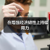 在增强经济韧性上持续用力（图4）