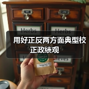 用好正反两方面典型校正政绩观（图2）