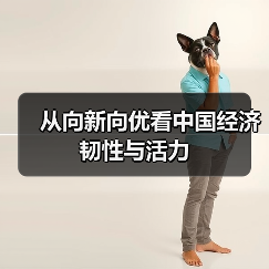 从向新向优看中国经济韧性与活力（图3）