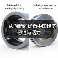 从向新向优看中国经济韧性与活力（图4）