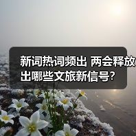 文旅消费新场景：入境游、海洋旅游与普惠旅
