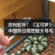 庆祝蛇年！《宝可梦》中国推出限定超大号毛
