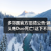 多邻国官方恶搞公告:猫头鹰Duo死亡!这下不用练外语了（图3）