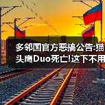 多邻国官方恶搞公告:猫头鹰Duo死亡!这下不用练外语了（图2）