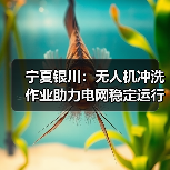 宁夏银川：无人机冲洗作业助力电网稳定运行