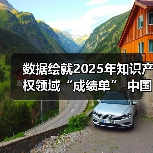 数据绘就2025年知识产权领域“成绩单”