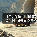 「巨大猫猫虫」遭到暗杀！剩一滩破布 凶手究竟是何人（图4）