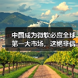 中国成为微软必应全球第一大市场，这绝非偶