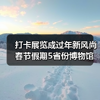 打卡展览成过年新风尚 春节假期5省份博物