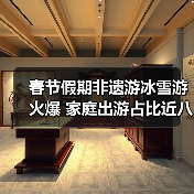 春节假期非遗游冰雪游火爆 家庭出游占比近八成（图3）