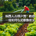 韩国人占领沪国？教你一招如何在武康路街头辨别韩男（图2）