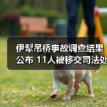 伊犁吊桥事故调查结果公布 11人被移交司法处理？（图1）