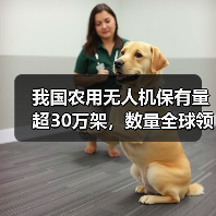 我国农用无人机保有量超30万架，数量全球领先（图1）