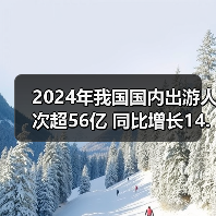 2024年我国国内出游人次超56亿 同比增长14.8%（图1）